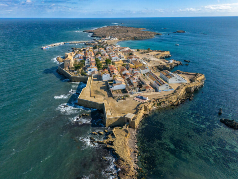 Flora y fauna marina de Tabarca: guía visual de las especies que puedes ver en el agua